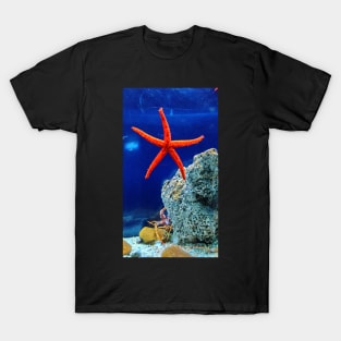 Patrick the starfish in real life! T-Shirt